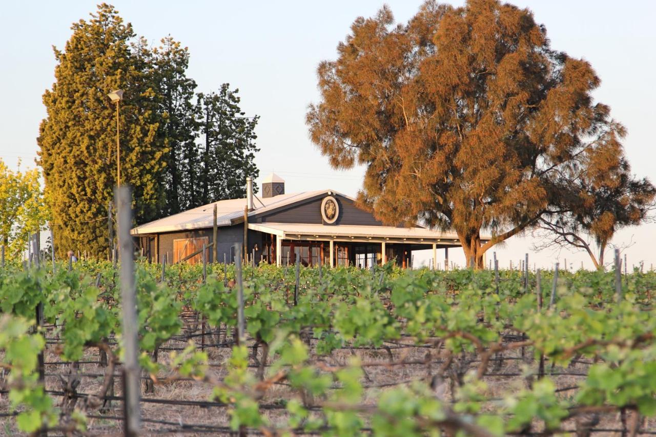 Blueberry Hill Vineyard Stay Rothbury Exterior foto