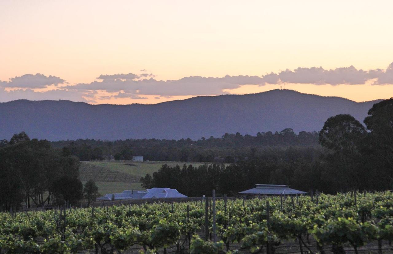 Blueberry Hill Vineyard Stay Rothbury Exterior foto